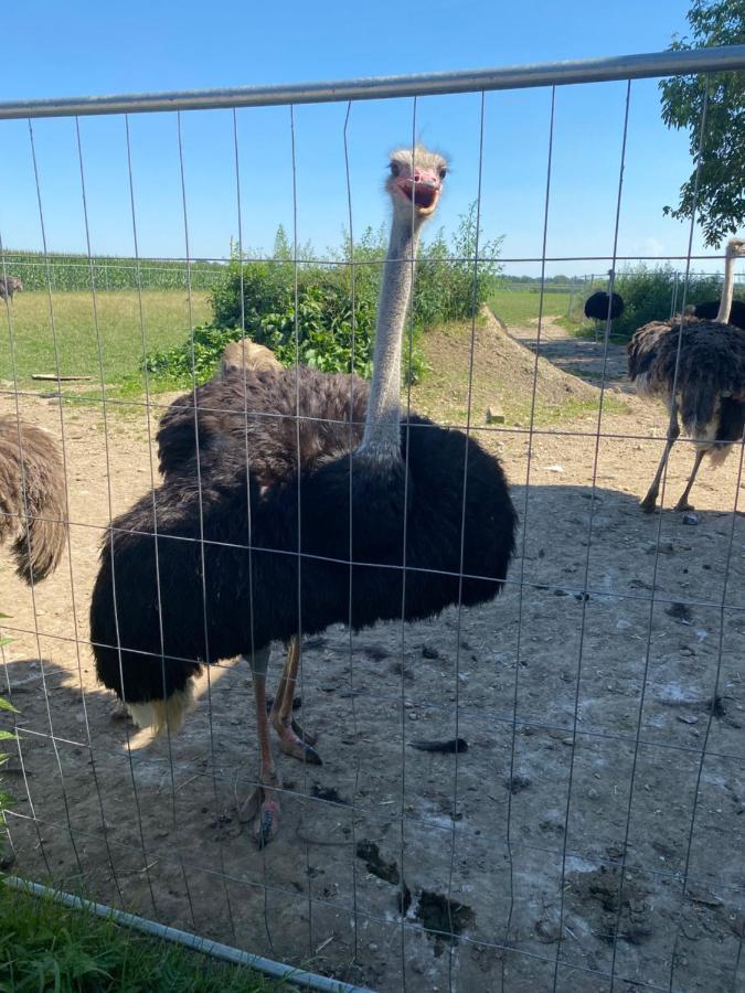 Luxus Fewo - Spannagl Daire Pocking  Dış mekan fotoğraf